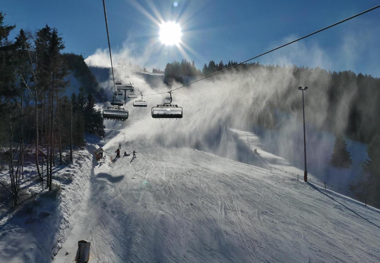 Quartier12 "Ski In & Bike Out" - Fewo Berg Виллинген Экстерьер фото